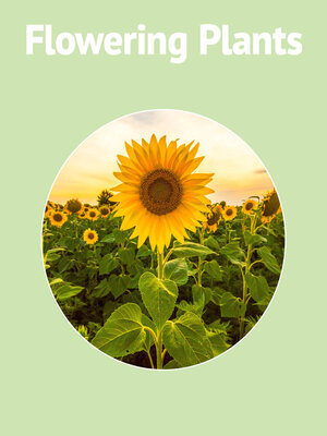 cover image of Flowering Plants